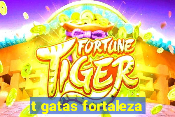 t gatas fortaleza